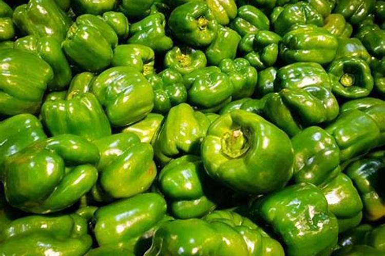 什么叶面肥能使大圆椒快速油黑发亮？