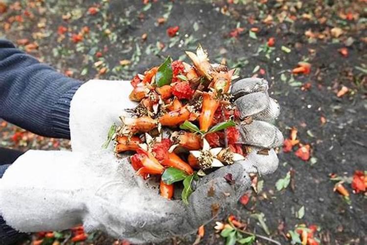 果树的根系是怎样吸收养分的？