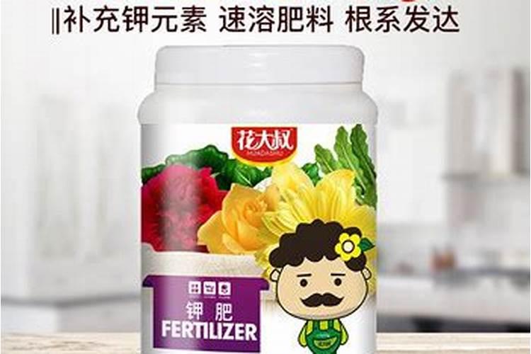 襄樊兰花营养士灰哪里买