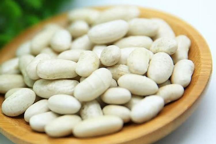 蛋白质是哪些食物