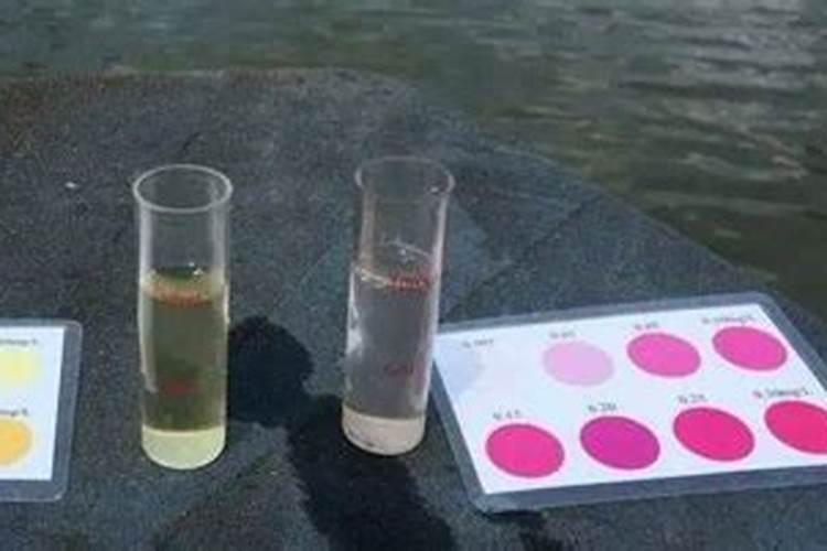 痰肥和炭肥作用区别