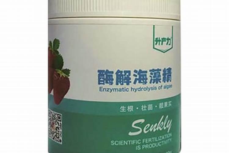 草莓苗种植多久能施肥 草莓苗什么时候施肥