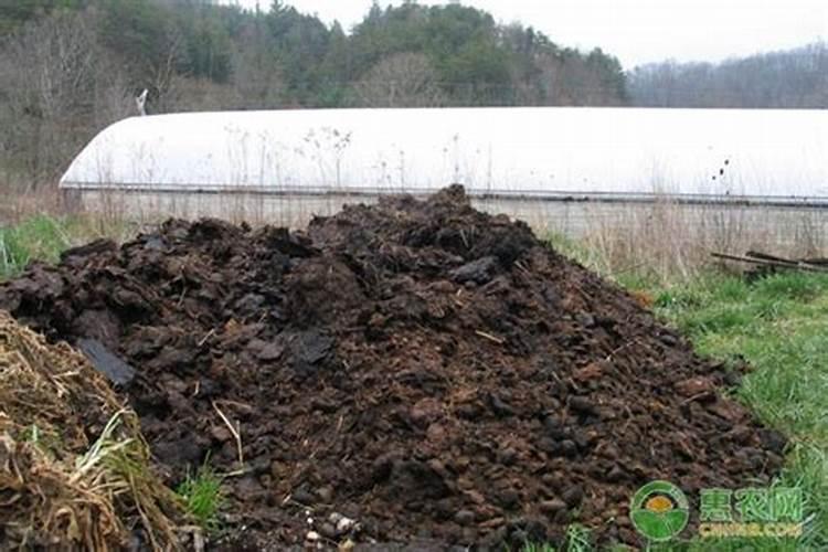 农家肥发酵多久才能用