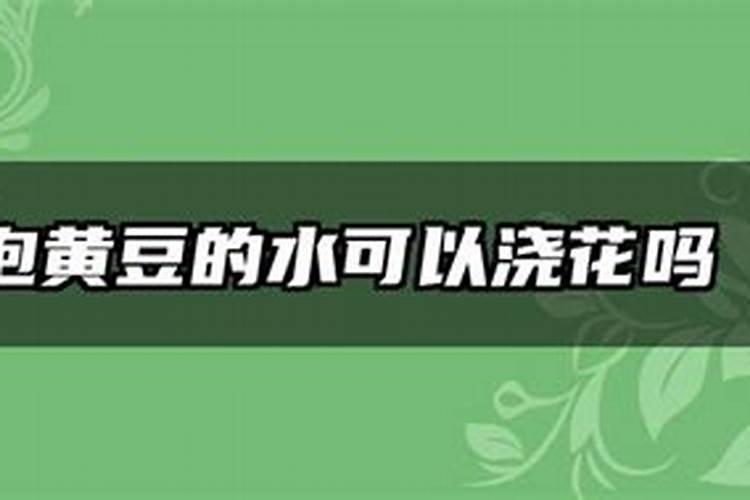 黄豆水属于磷肥还是氮肥