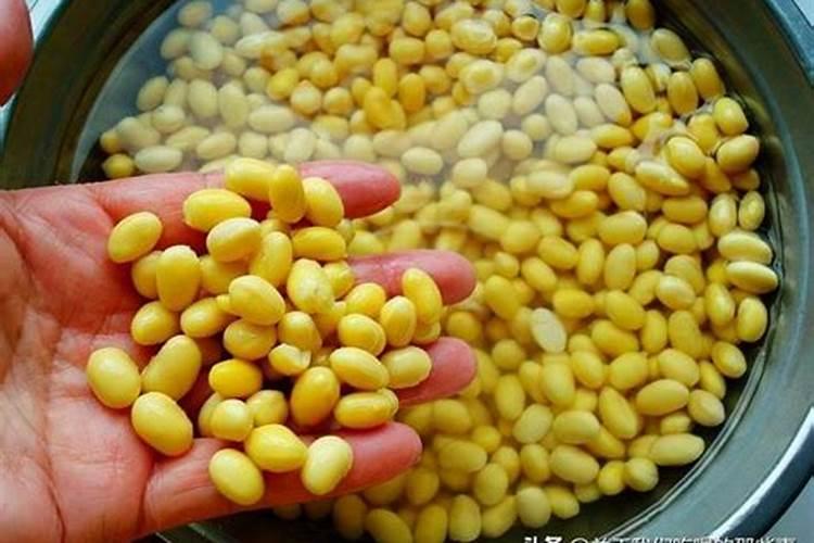 黄豆水是氮肥还是磷肥