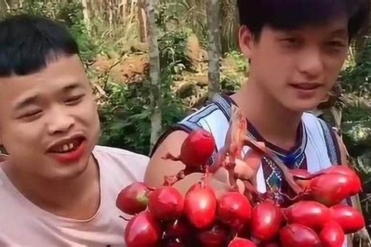 绿萝需要什么肥料呢？绿萝用什么肥料长得快呢？
