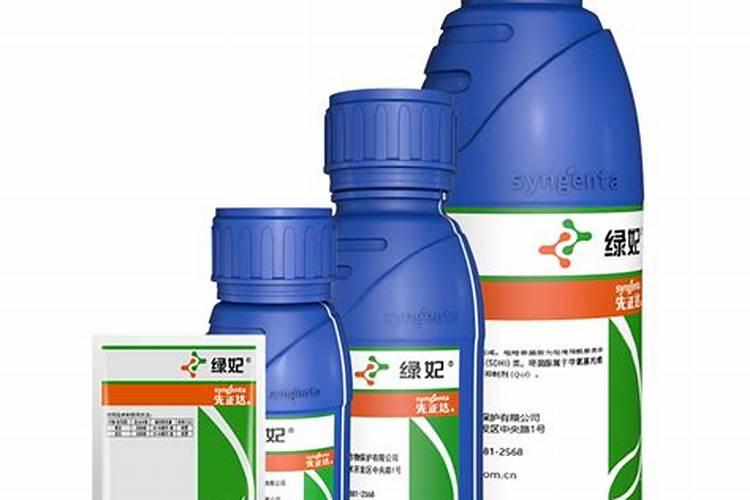 白粉病怎么引起的？ 叶霉病怎么引起的？ 求解答。