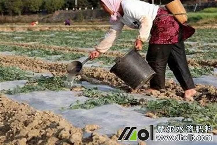 大棚西瓜用的冲施肥是多少次性投入还是一次性投入？