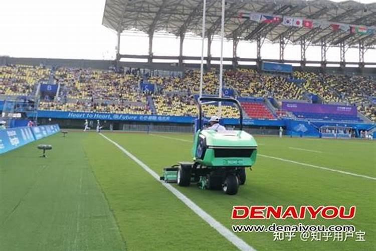 新种四季青草坪多少天可以施肥