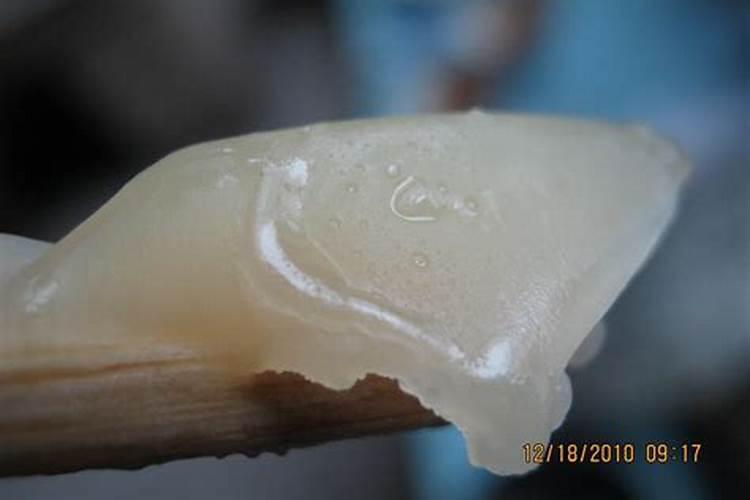 发酵好的鱼蛋白怎样保存不会坏