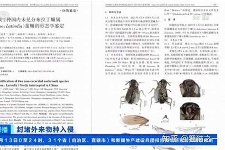 大概是零几年的电影