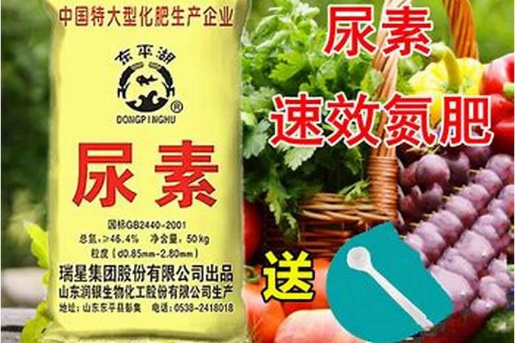 1斤尿素等于多少个氮肥