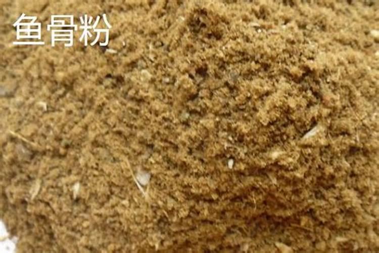 7月份柑橘可用磷肥吗