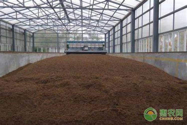 辣椒盛果盛花期需要补充含磷肥吗