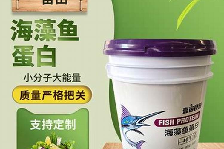 脐橙施用什么鱼蛋白肥？