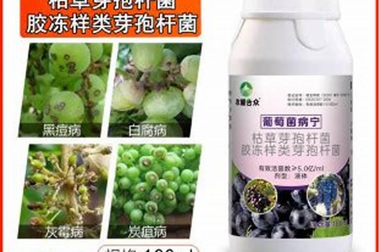 葡萄树需要哪些农药？