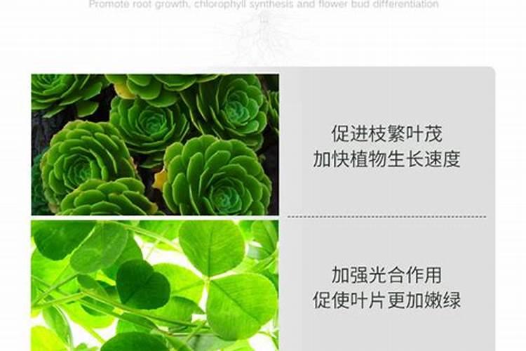 复合肥是氮肥吗？