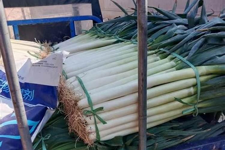 红菜苔病虫害该怎样防治呢？