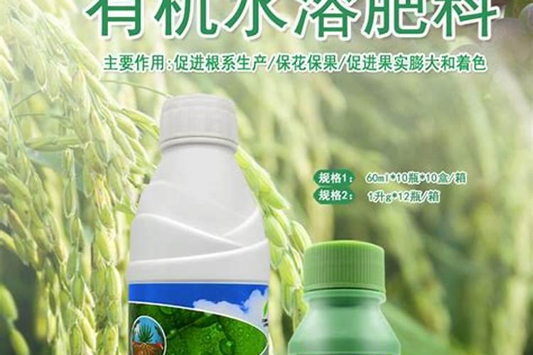 十大膨果肥第一名