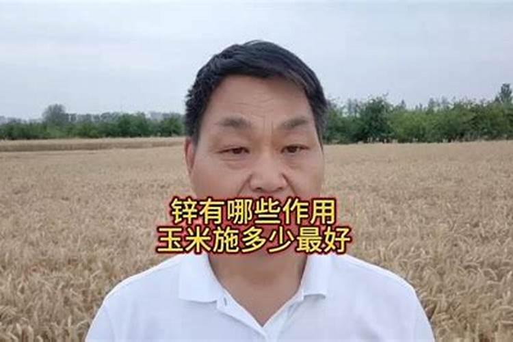 王米施锌肥什么锌肥好