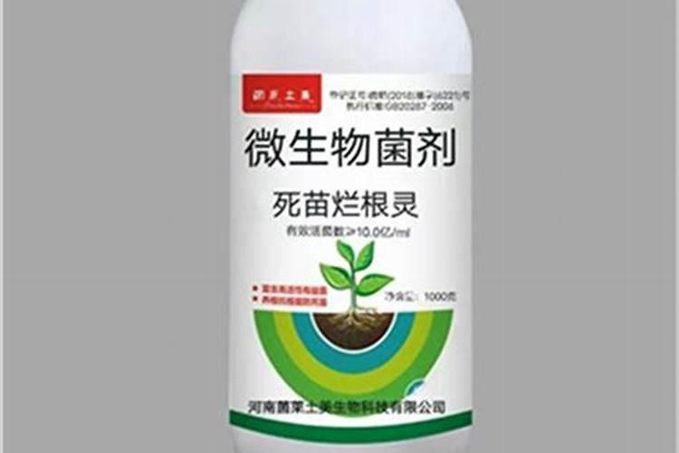 甘蔗黄叶病用什么药效果好 病因及防治方法