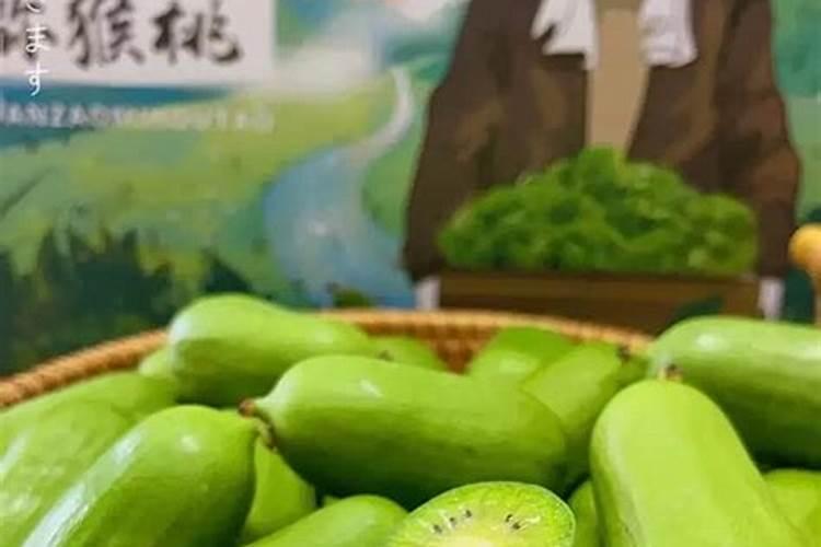 软枣猕猴桃的种植技术及要点