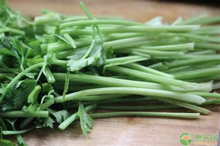 芹菜后期冲什么肥料好