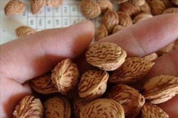 核桃施肥的基本标准是什么