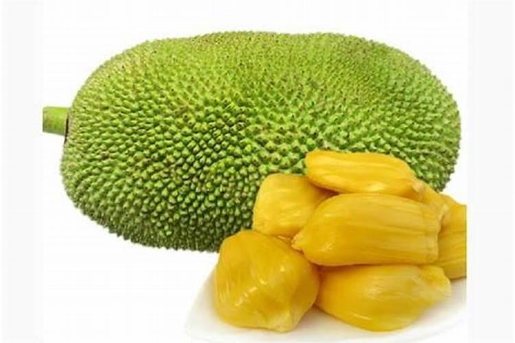 菠萝蜜用什么土种比较好