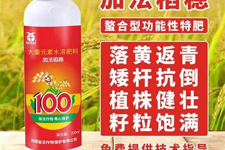 促进植物生长的叶面肥有哪些