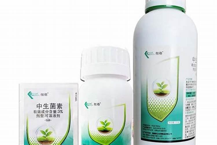 青枯病十大特效药