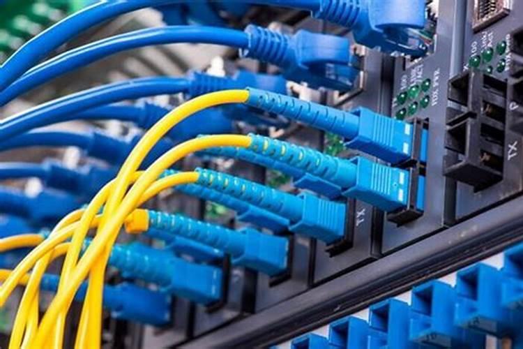 王米施锌肥什么锌肥好