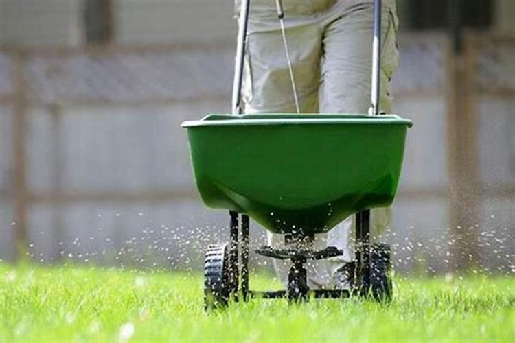 草坪用什么肥好