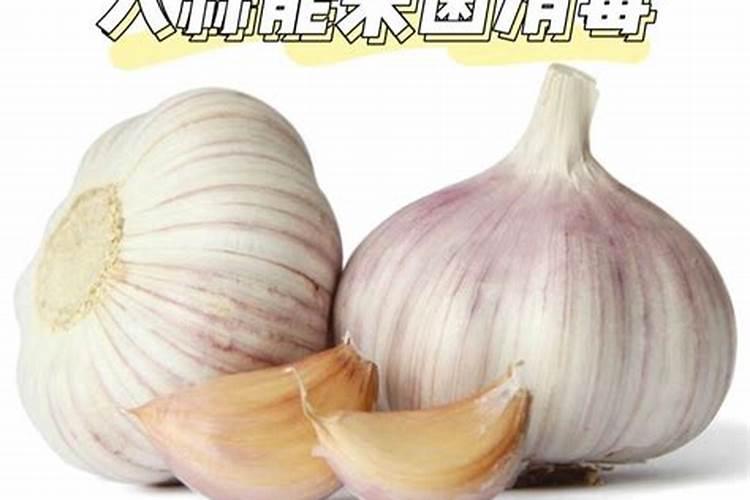 大蒜含有哪些微量元素