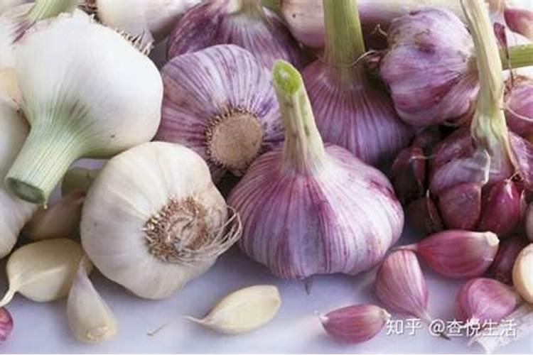 大蒜含有哪些微量元素