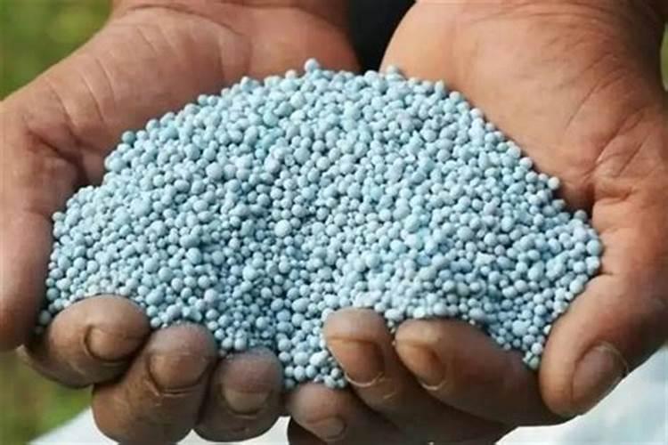 钾肥施用要注意什么