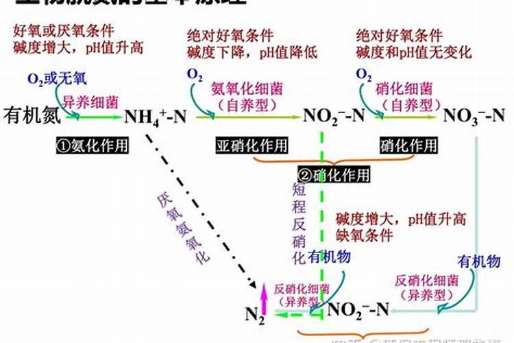 污水厂氨氮超标的处理方法,信息量大,接住啦!