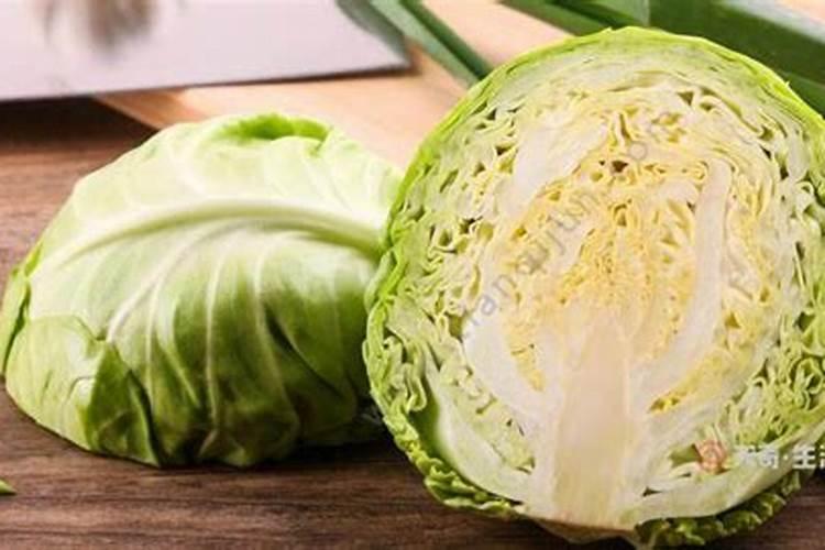 施什么肥白菜长的最茂盛