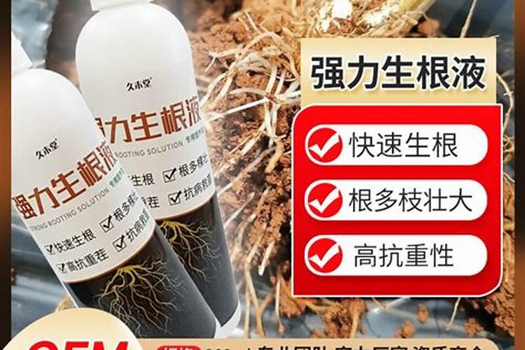 促进植物根发肓最好需要什么肥