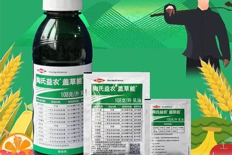 韭菜施肥什么肥料好 韭菜施肥啥肥料好