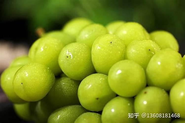 种植阳光玫瑰葡萄时,需要施什么肥呢？