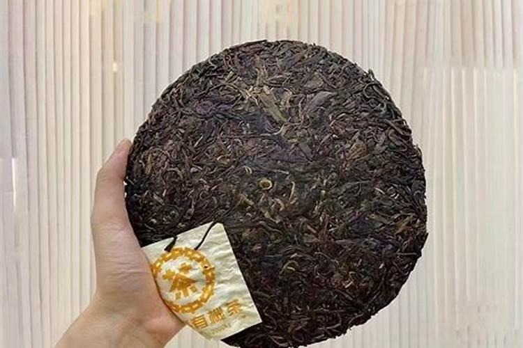 普洱茶渣可以做肥料吗