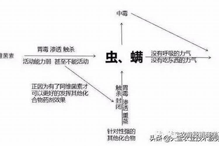`豆角秧招红眼儿蒙卷卷叶子,怎么回事儿