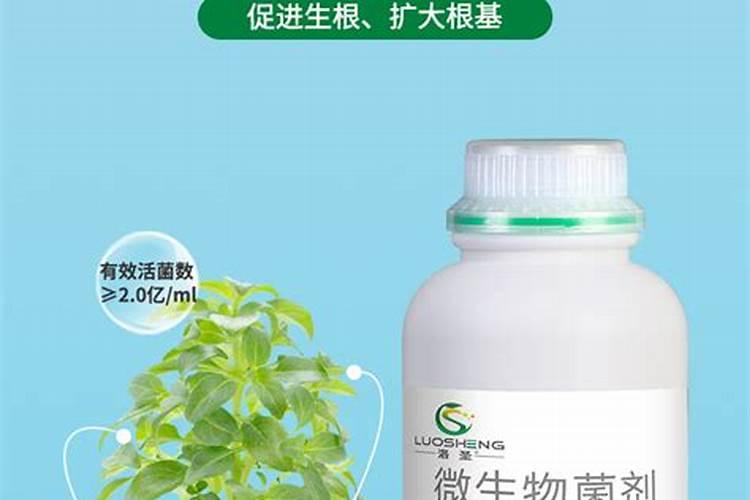 什么时候施冲施肥？施肥受天气影响吗？