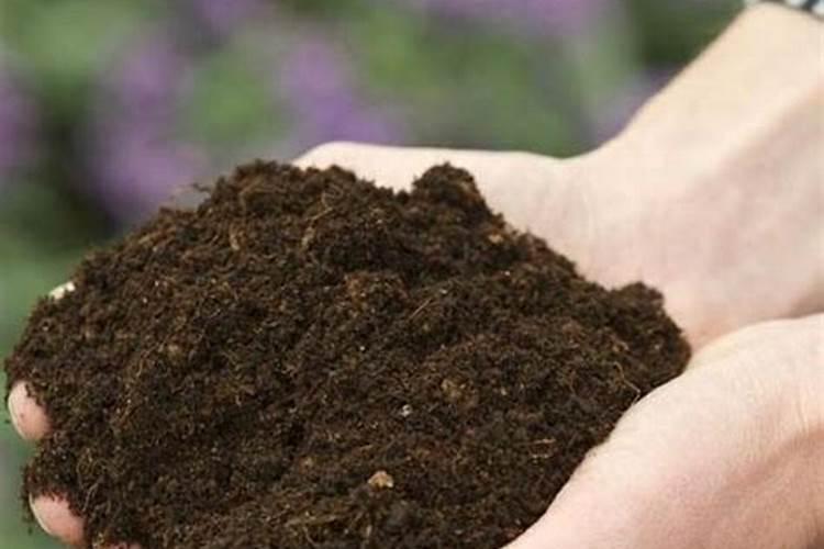 自制草莓营养土的方法