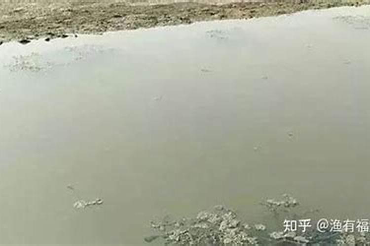 水体浑浊？别慌!用这些方法,浑水秒变清水!