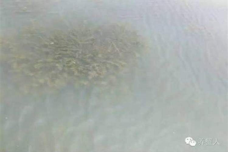 磷肥在污水处理中的作用