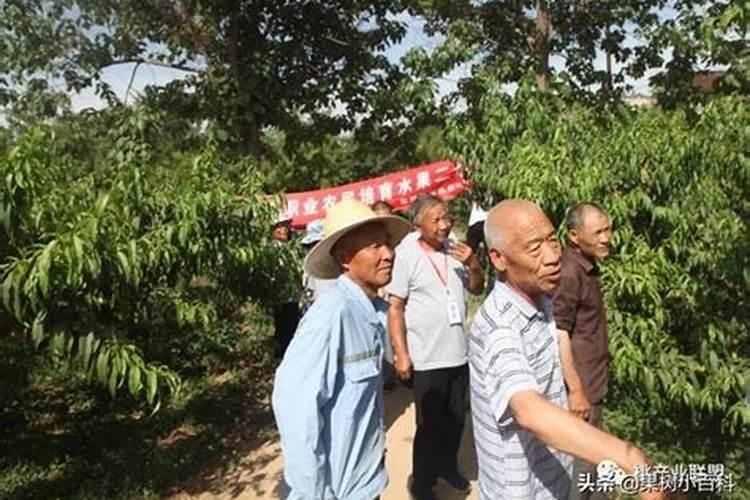 碧护在什么情况下才能用？