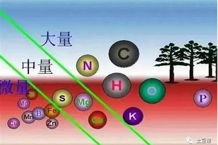 中量元素水溶肥料作用