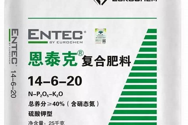 耙耙柑坐果后选红牛还是恩泰克